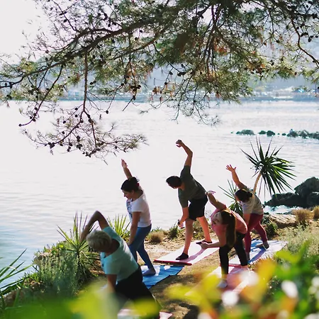 Karalis ピュロス